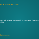 Body doubling and other external structure that actually works for ADHD
