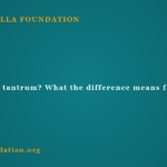 Meltdown or tantrum? What the difference means for how you respond