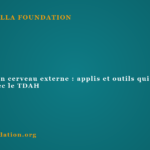 Construire un cerveau externe : applis et outils qui aident vraiment avec le TDAH Construire un cerveau externe : applis et outils qui aident vraiment avec le TDAH